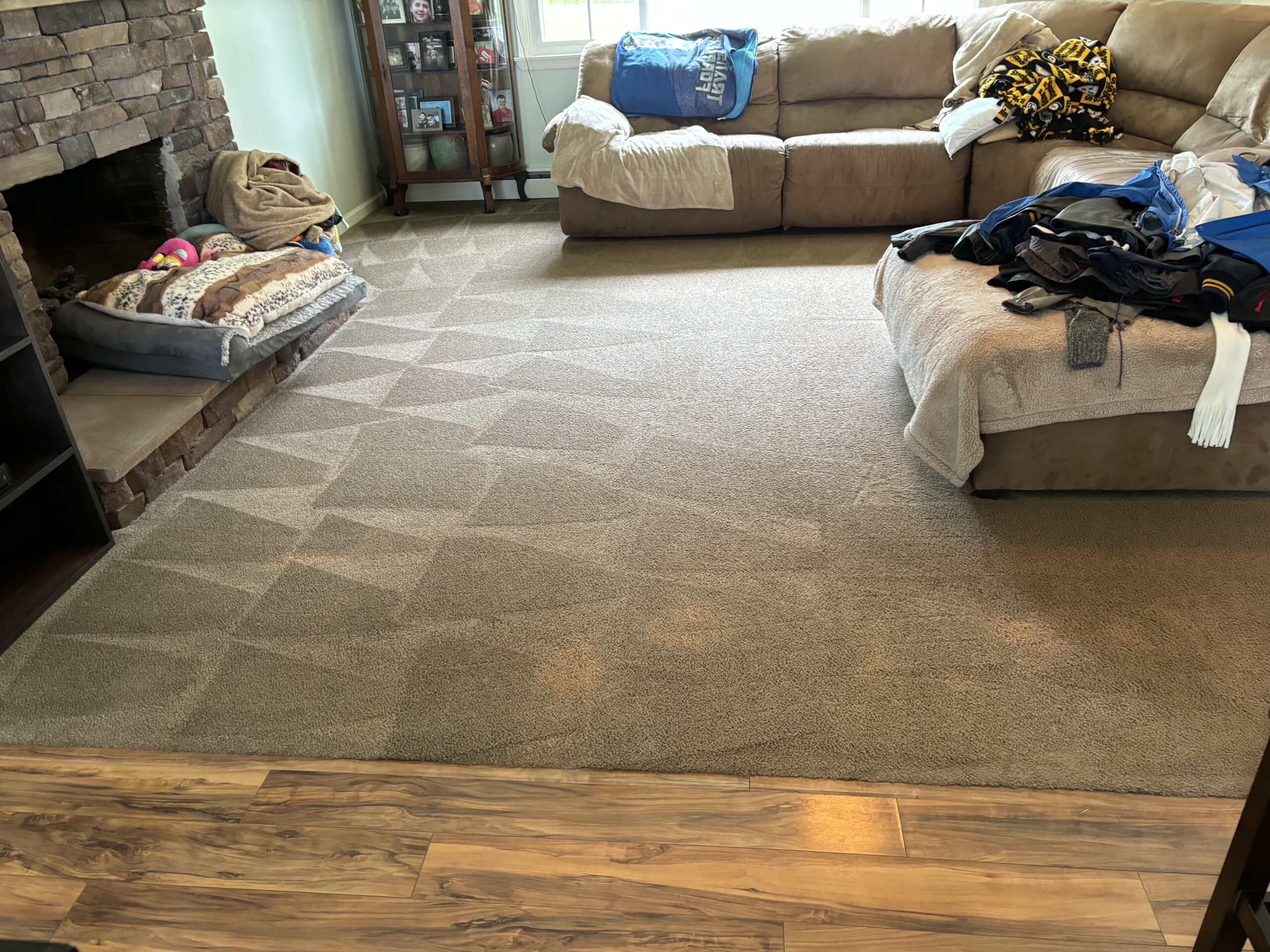carpet-clean-2 Residential cleaning service with white bed and clean floor