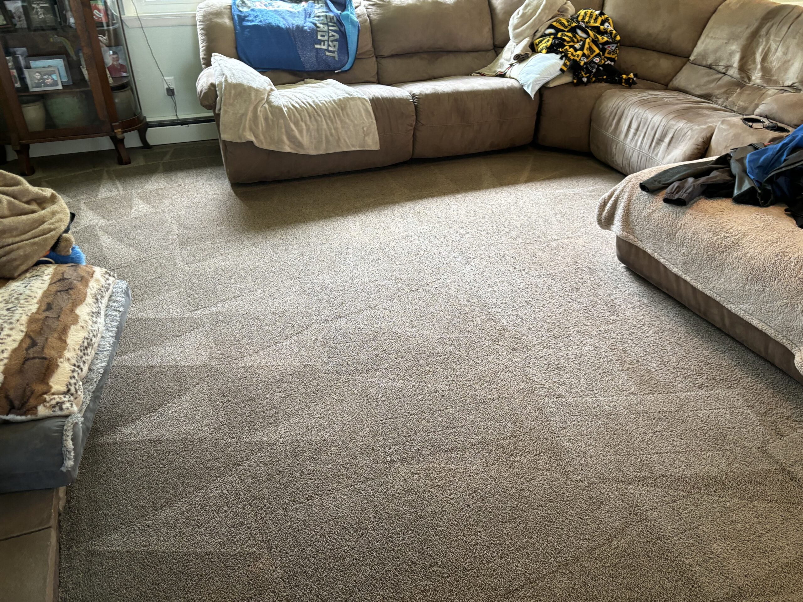 carpet-cleaning Images of high-quality or eco-friendly cleaning products that are used in residential cleaning.